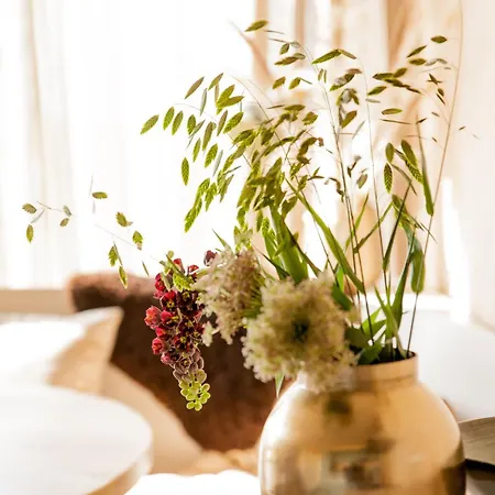 Ecohome Golf 8pers And Baby Zeezand Recreatie 't Zand