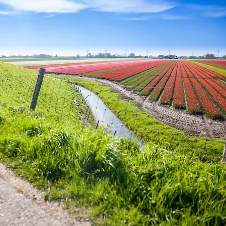 Ecohome Golf 8pers And Baby Zeezand Recreatie