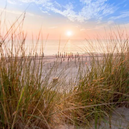 Casa de Férias Ecohome Golf 8pers And Baby Zeezand Recreatie