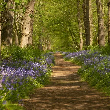 Ecohome Golf 8pers And Baby Zeezand Recreatie Casa de Férias *