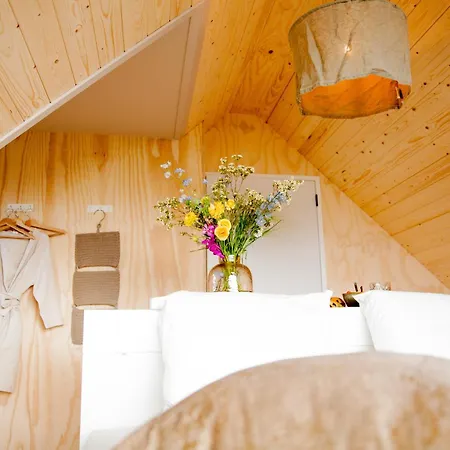 Tatil Evi Ecohome Golf 8pers And Baby Zeezand Recreatie 't Zand