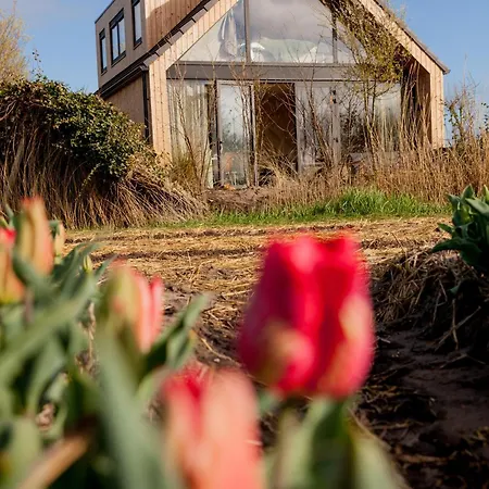 Ecohome Golf 8pers And Baby Zeezand Recreatie Tatil Evi *