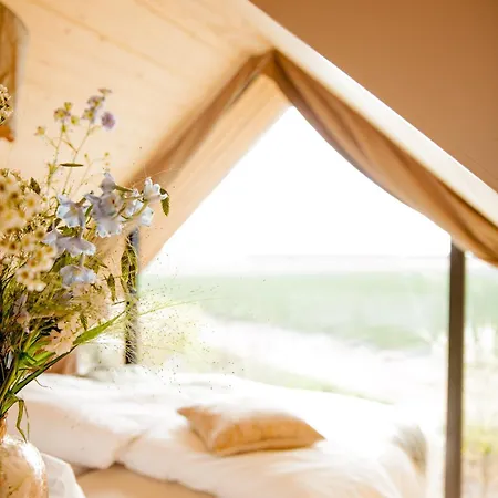 Tatil Evi Ecohome Golf 8pers And Baby Zeezand Recreatie