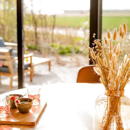 Ecohome Golf 8pers And Baby Zeezand Recreatie