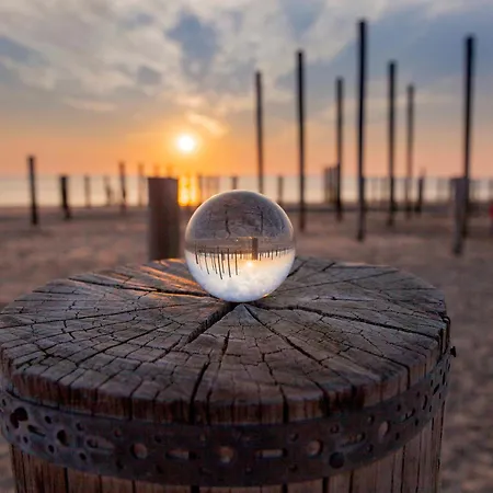 Ecohome Golf 8pers And Baby Zeezand Recreatie Tatil Evi